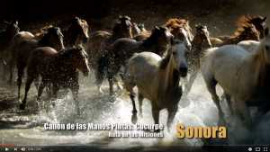 Sonora Bicentenario