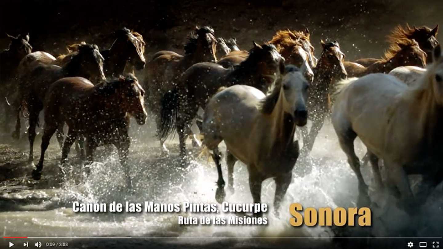 Sonora Bicentenario