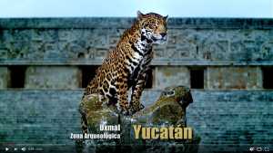 Yucatán Bicentenario