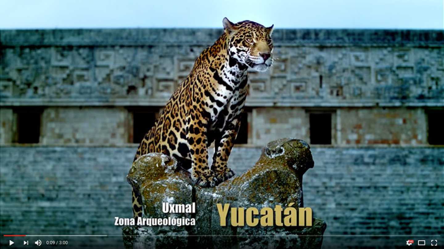 Yucatán Bicentenario